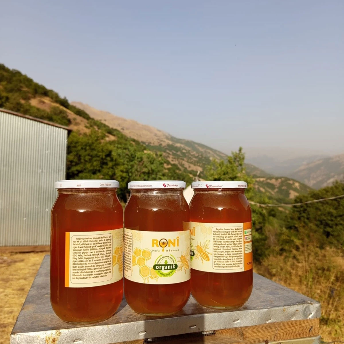 Yüksek Kaliteli Şemdinli Balı (Analiz Raporlu)