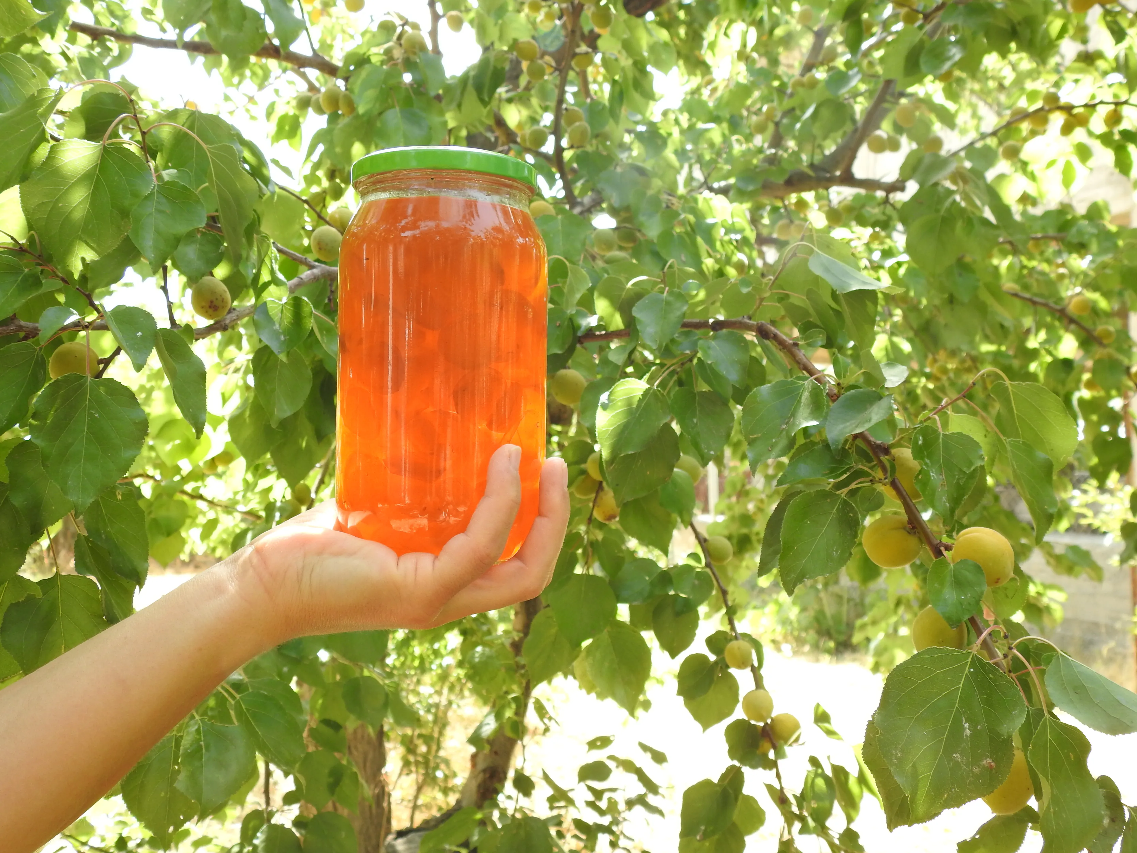 Doğadan Kayısı Reçeli