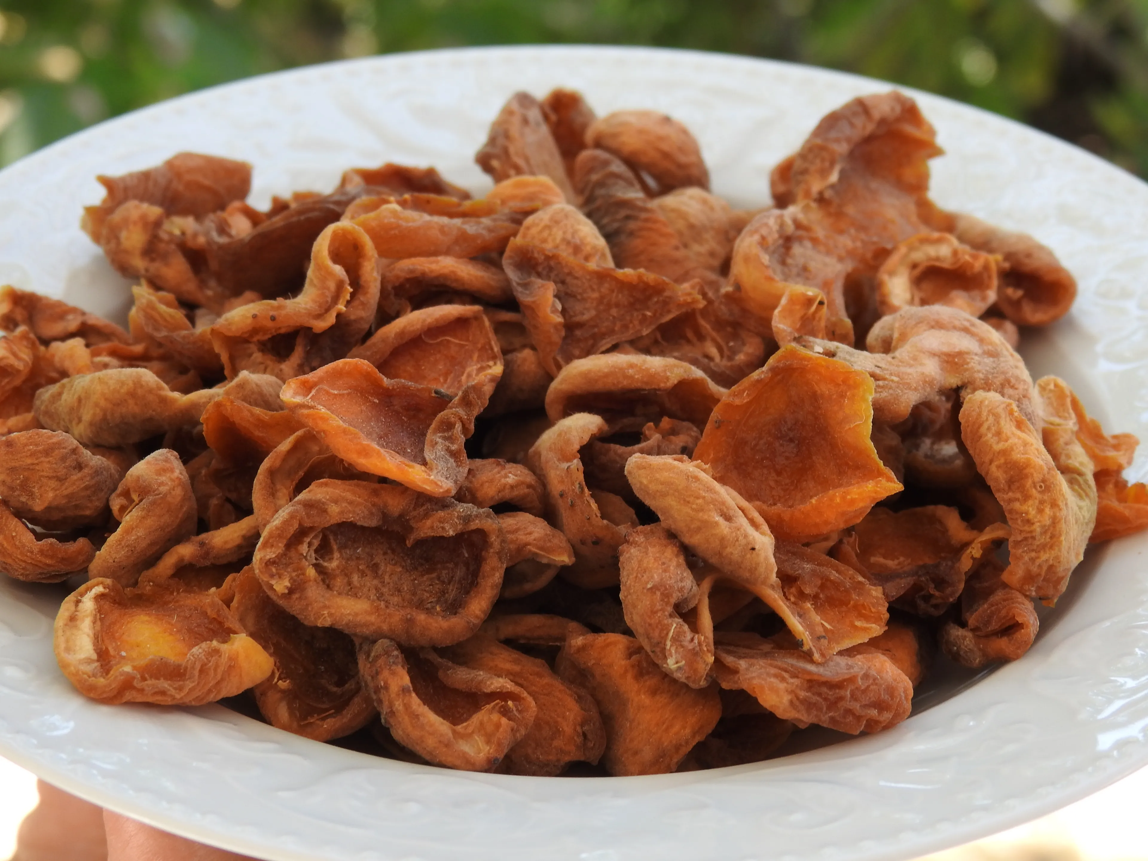 Ev Yapımı Kompostoluk Kuru Kayısı – İlaçsız