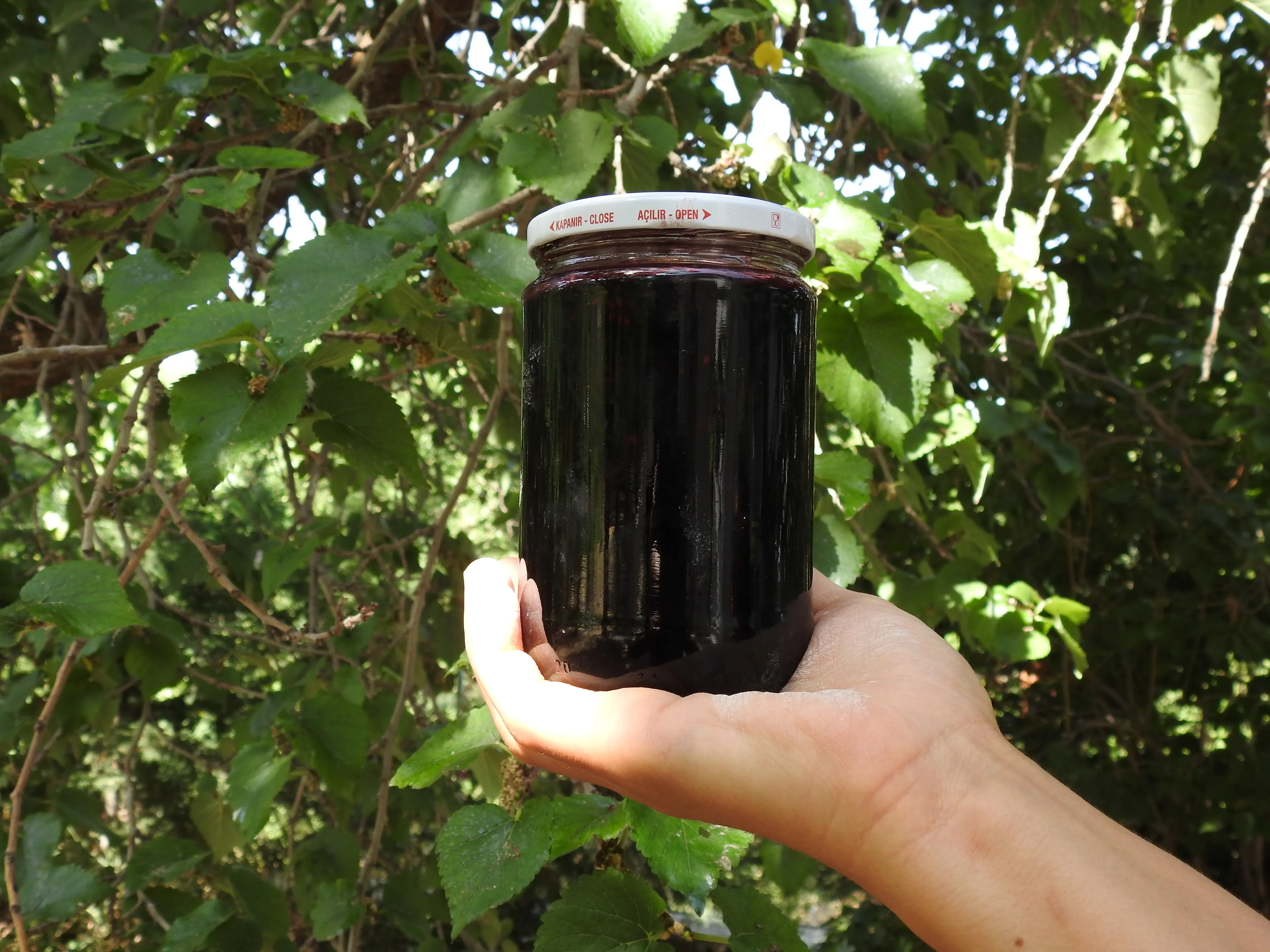 Doğadan Siyah Dut Reçeli 