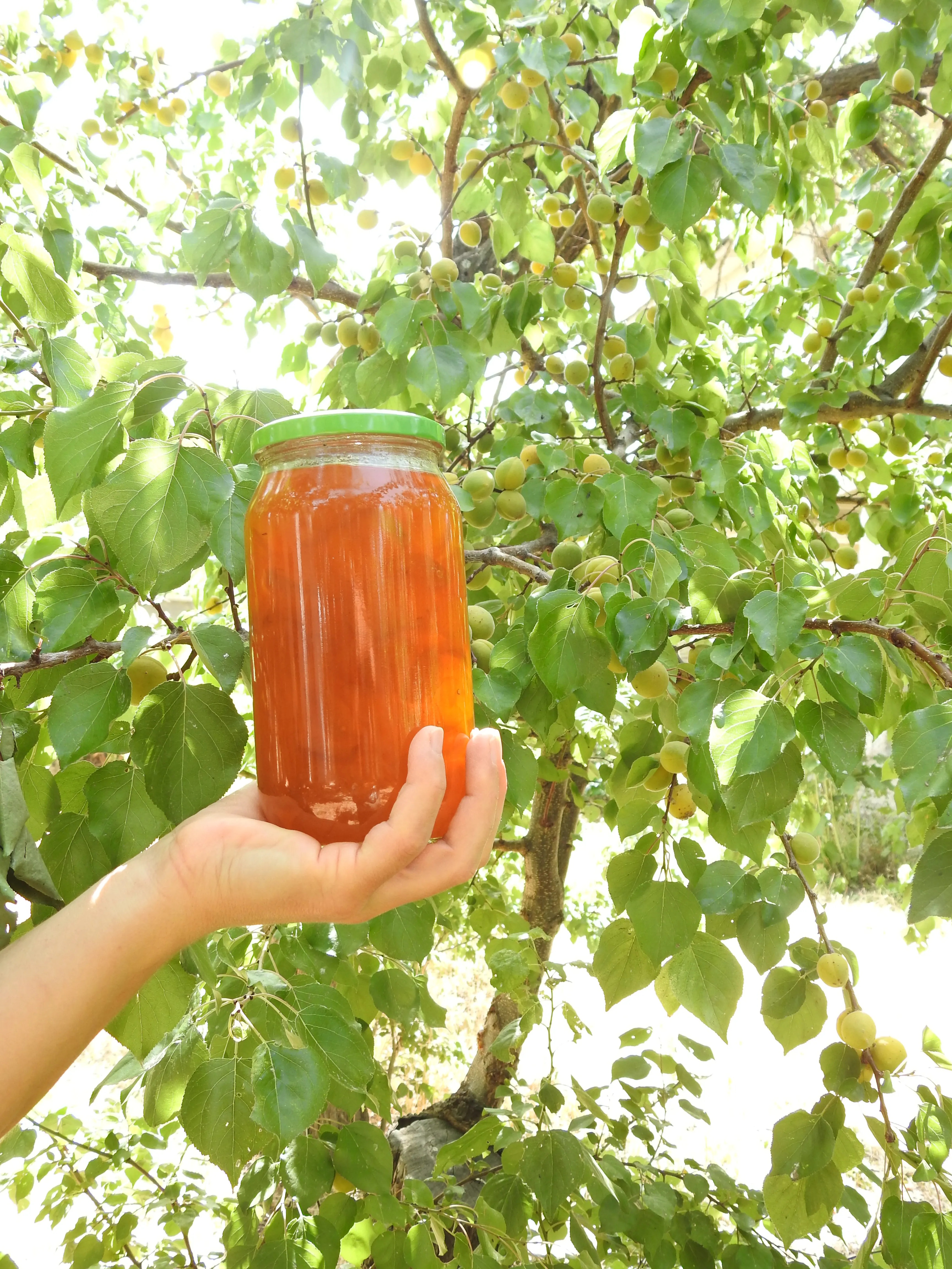 Doğadan Kayısı Reçeli