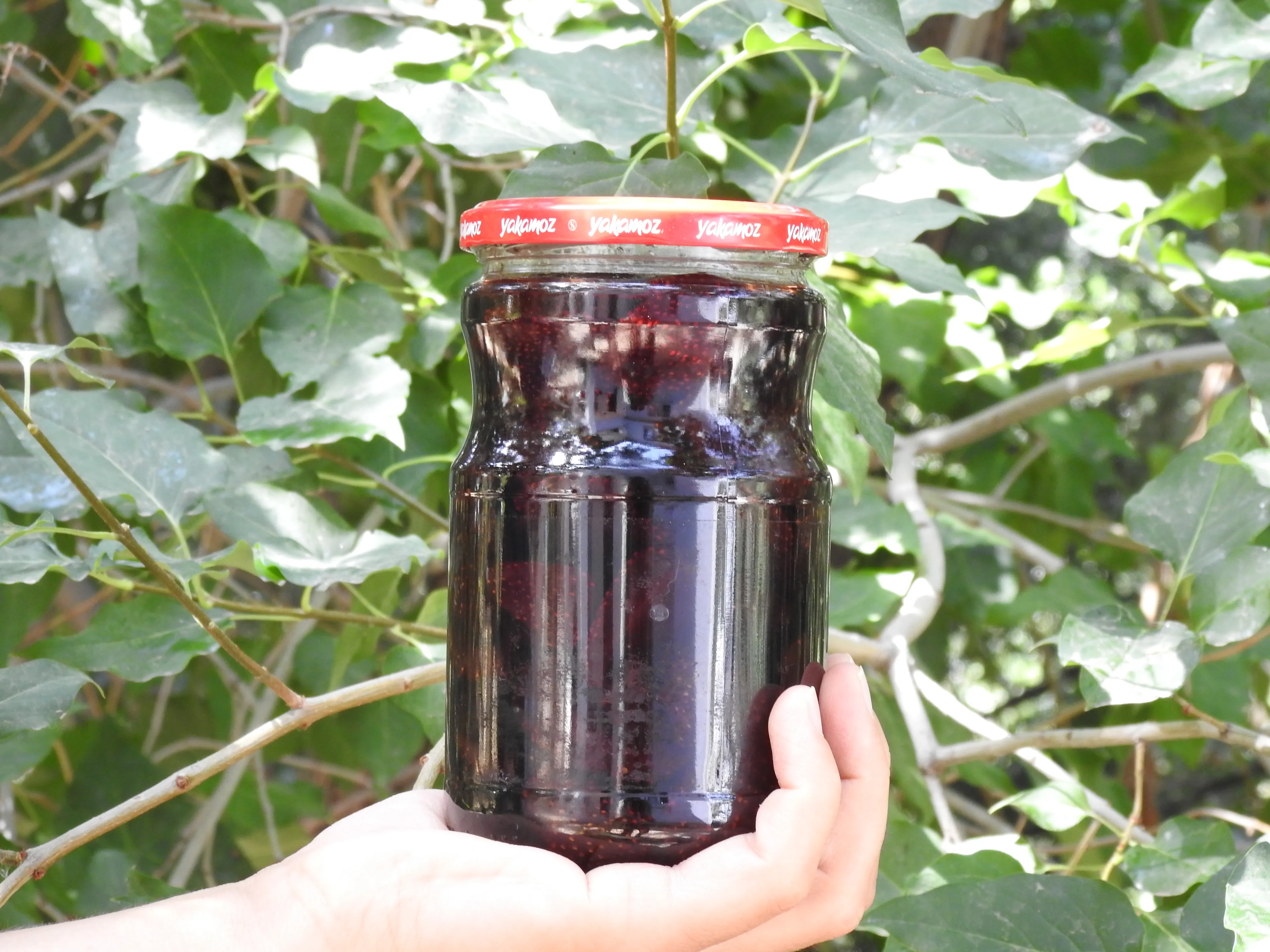 Doğadan Çilek Reçeli