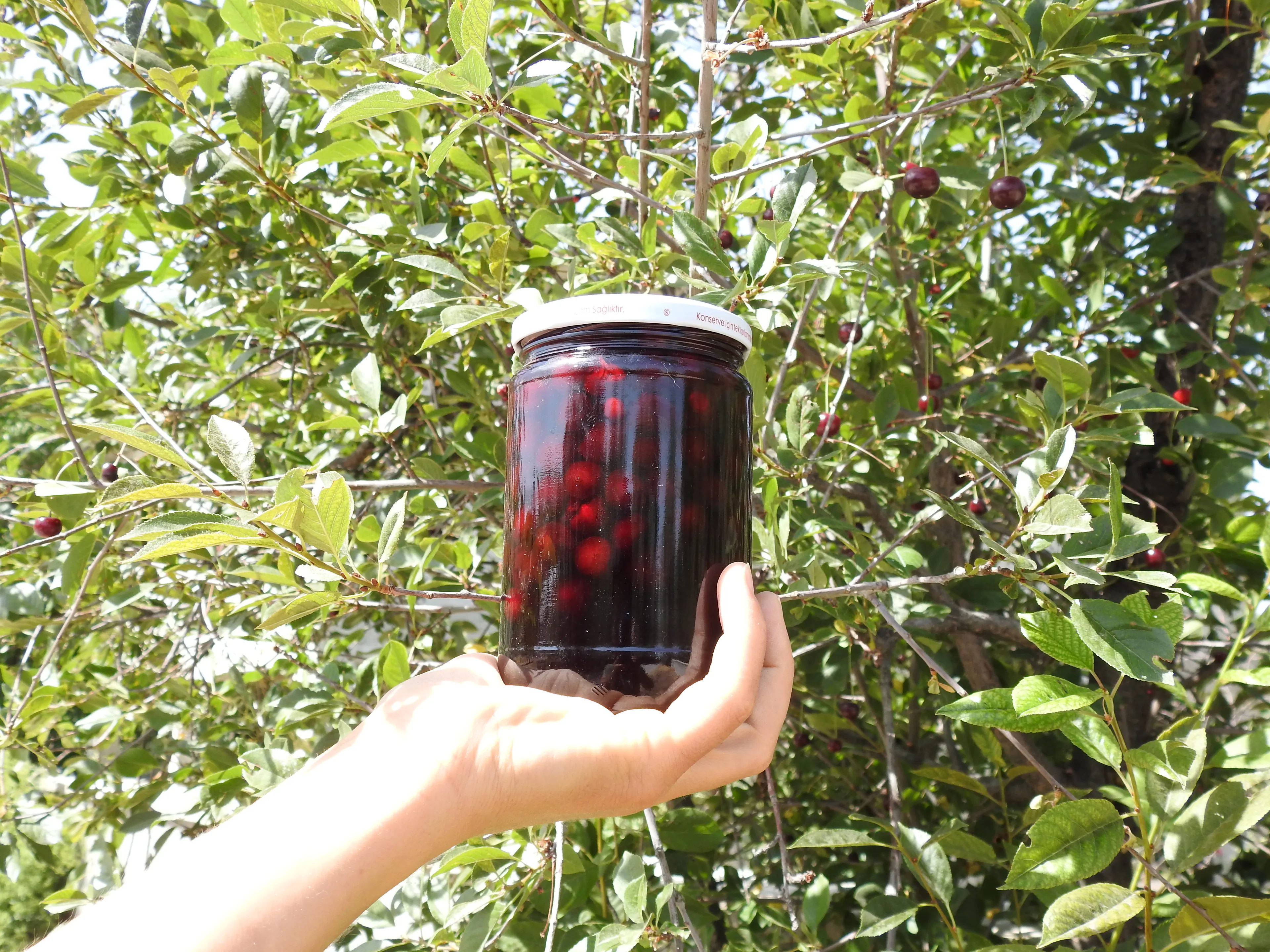 Doğadan Vişne Reçeli 