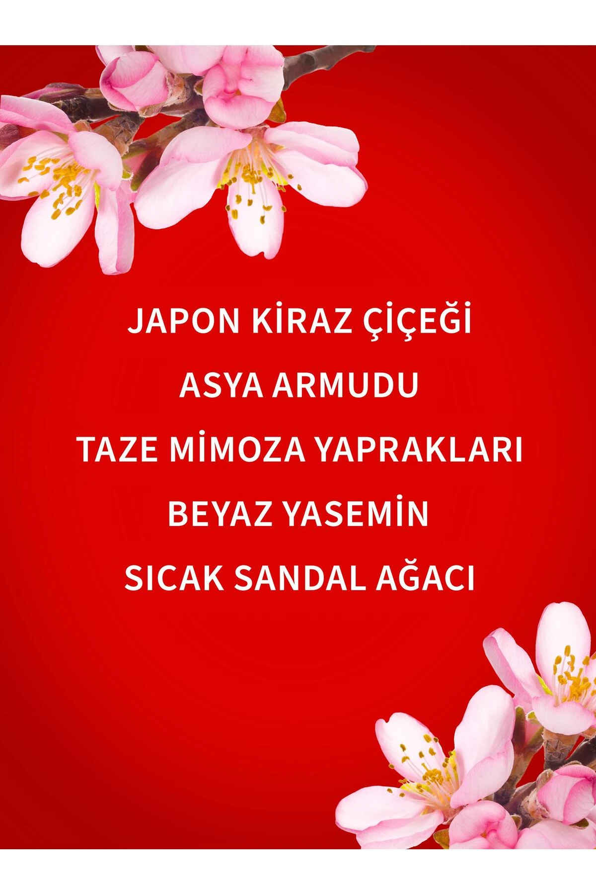 Japanese Cherry Blossom Nemlendirici Duş Jeli