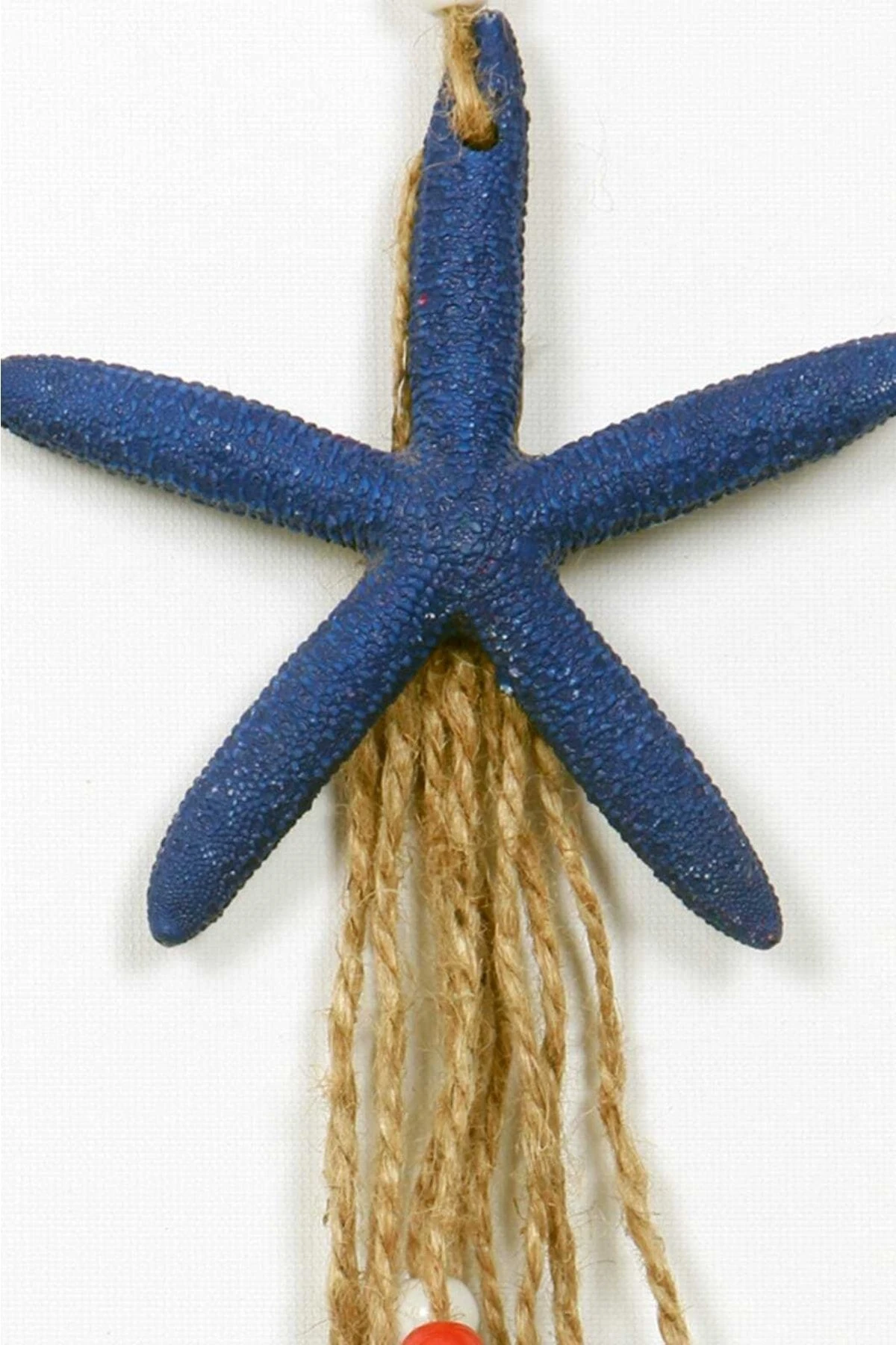 Deniz Yıldızı Duvar Süsü