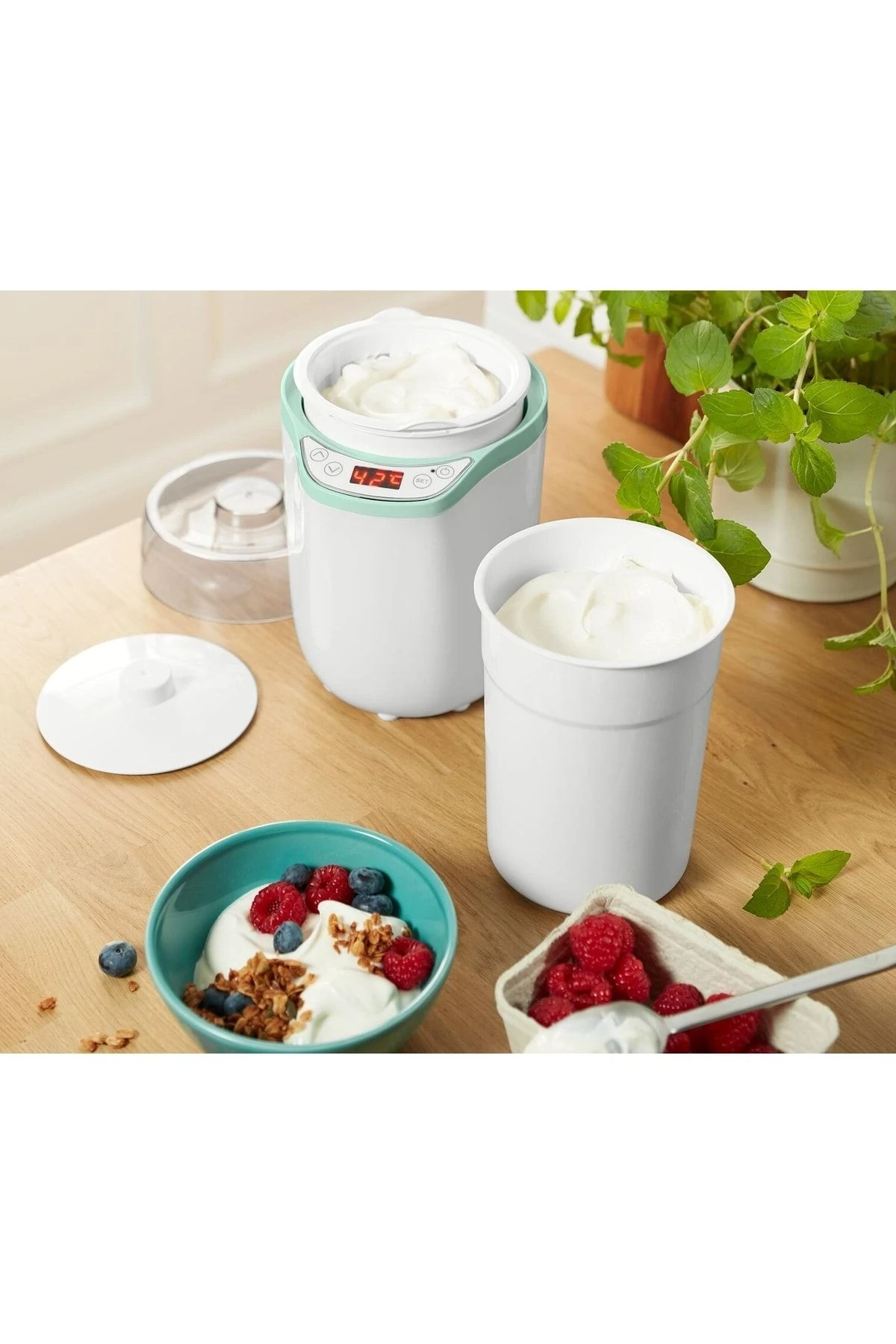 Yoğurt Ve Krem Peynir Hazırlayıcı