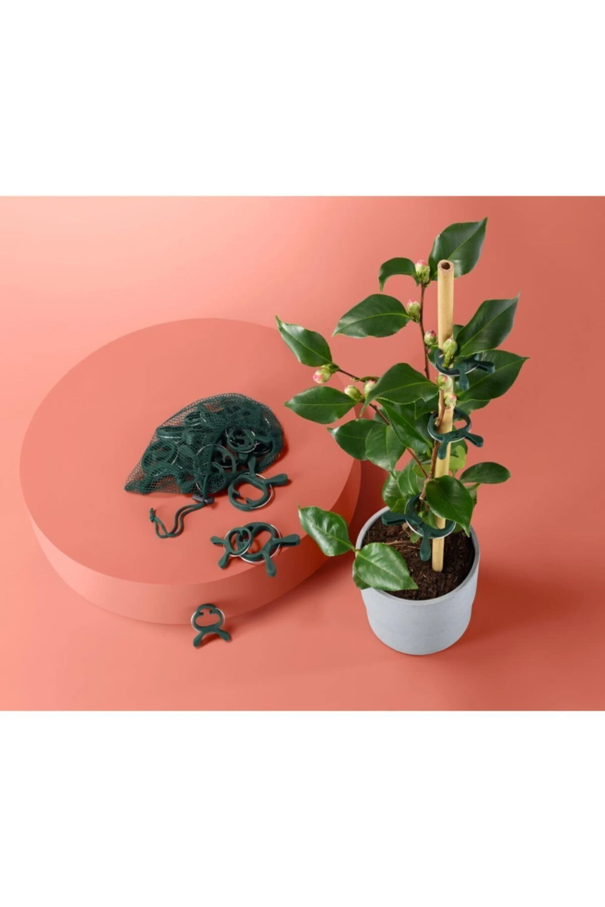 20 Adet Bitki Mandalı