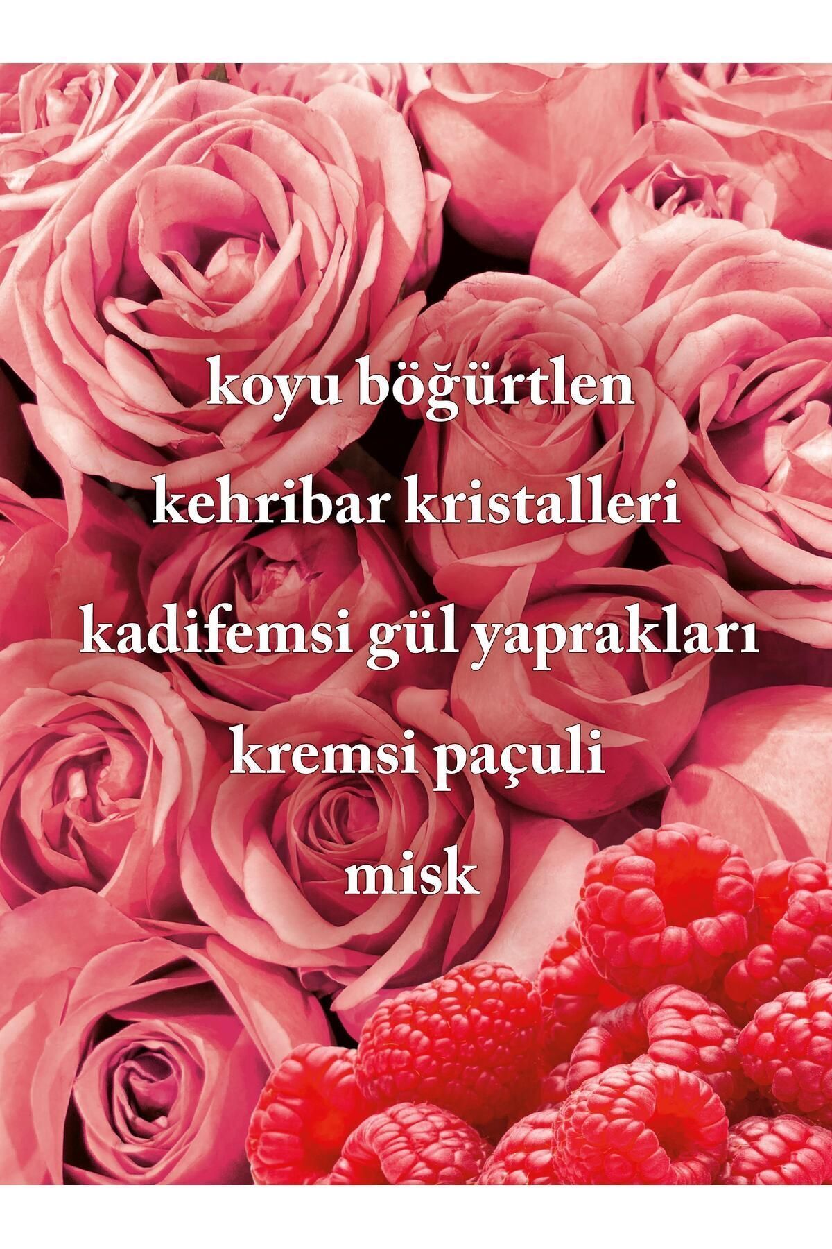 Into The Night Işıltılı Vücut Spreyi 146 ml