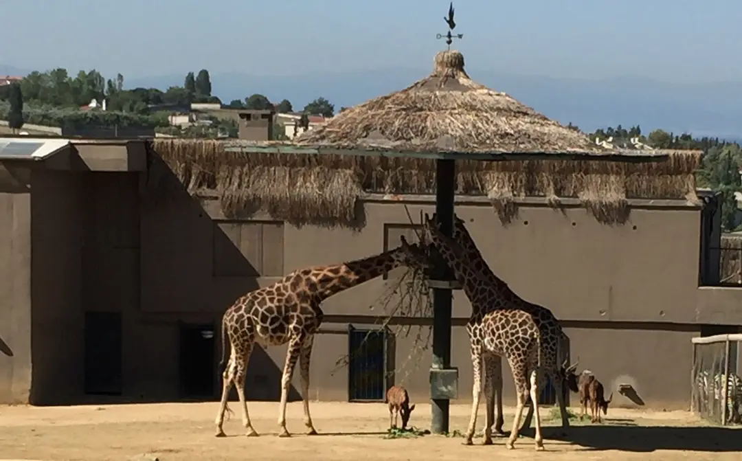 Nasıl dilersem öyle yaratırım diyen Yüce Allah'ın eserleri...