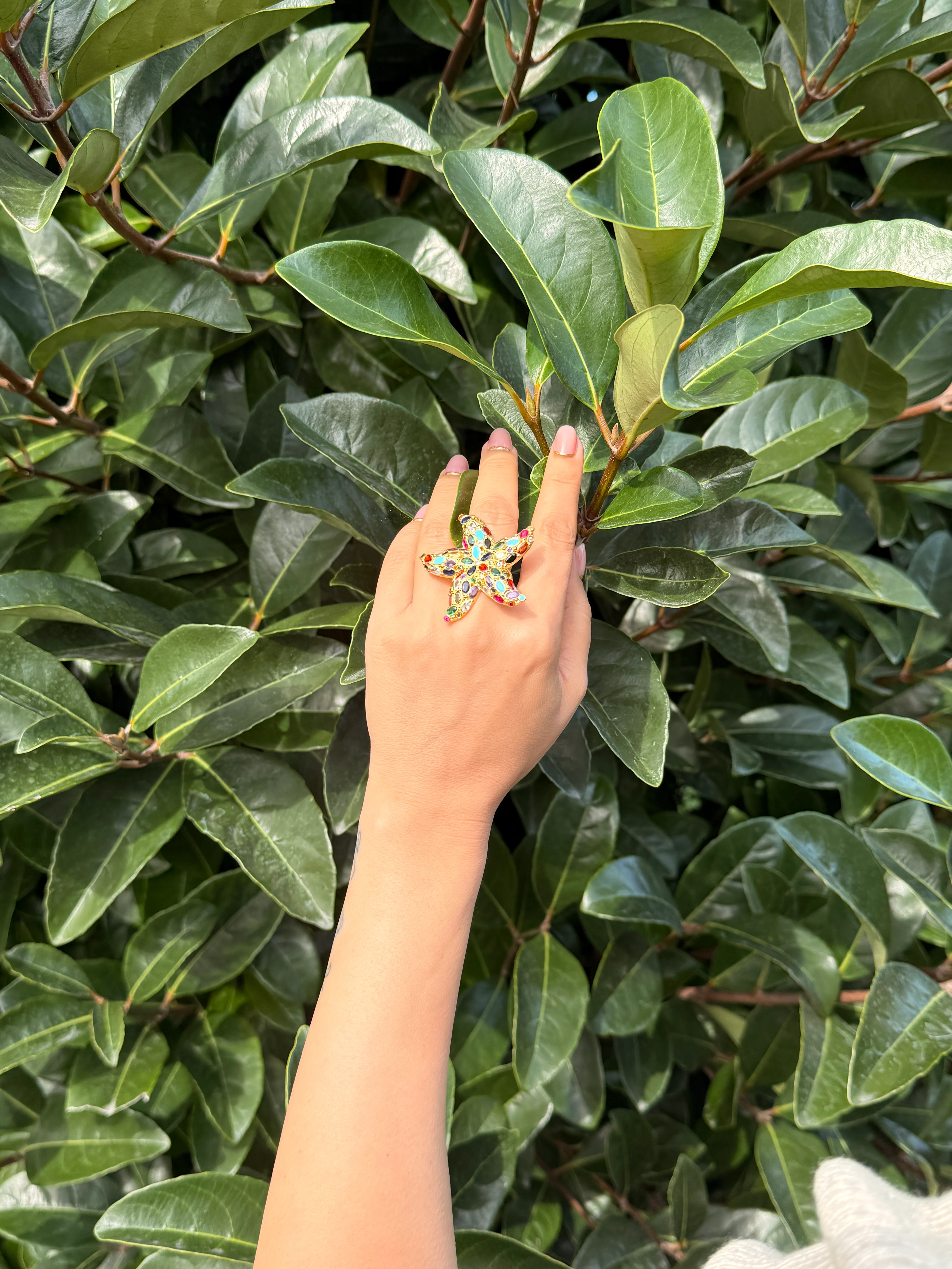 Deniz Yıldızı Zirkon Set