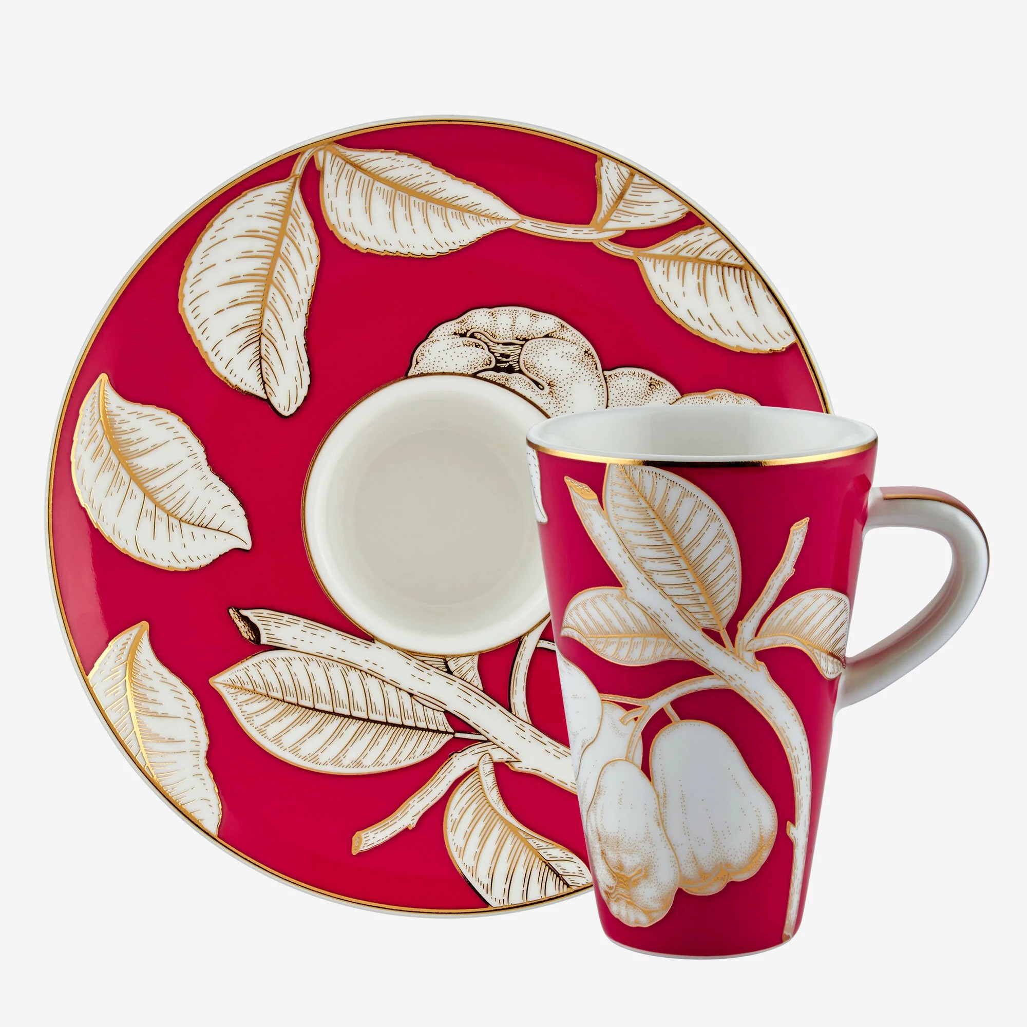 Fuşya Porselen Kahve Fincan Seti 100 Ml Collection by Chiara Alessi