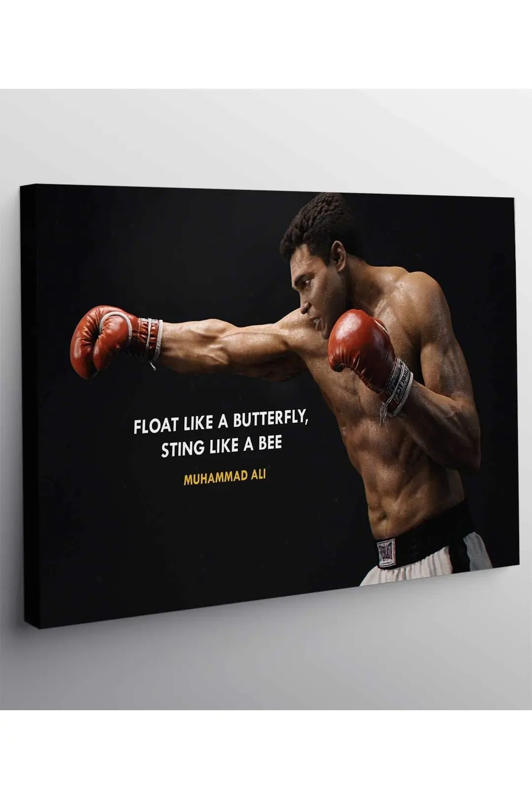 Muhammad Tablo Muhammad Ali Motivasyon Tablo