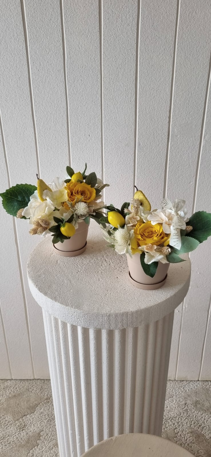 garden lemon - saksıda çiçek tasarımları