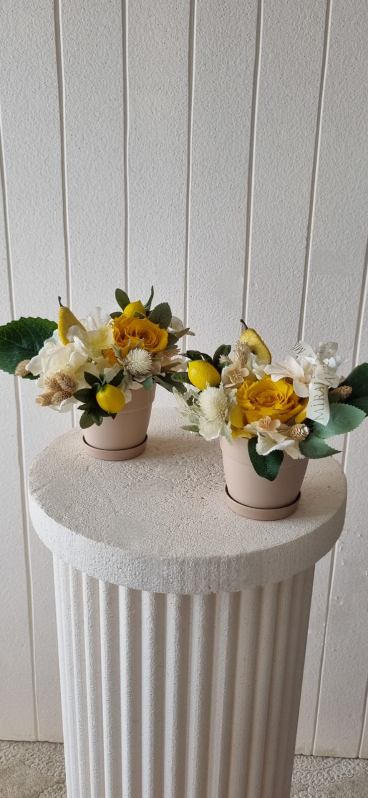 garden lemon - saksıda çiçek tasarımları