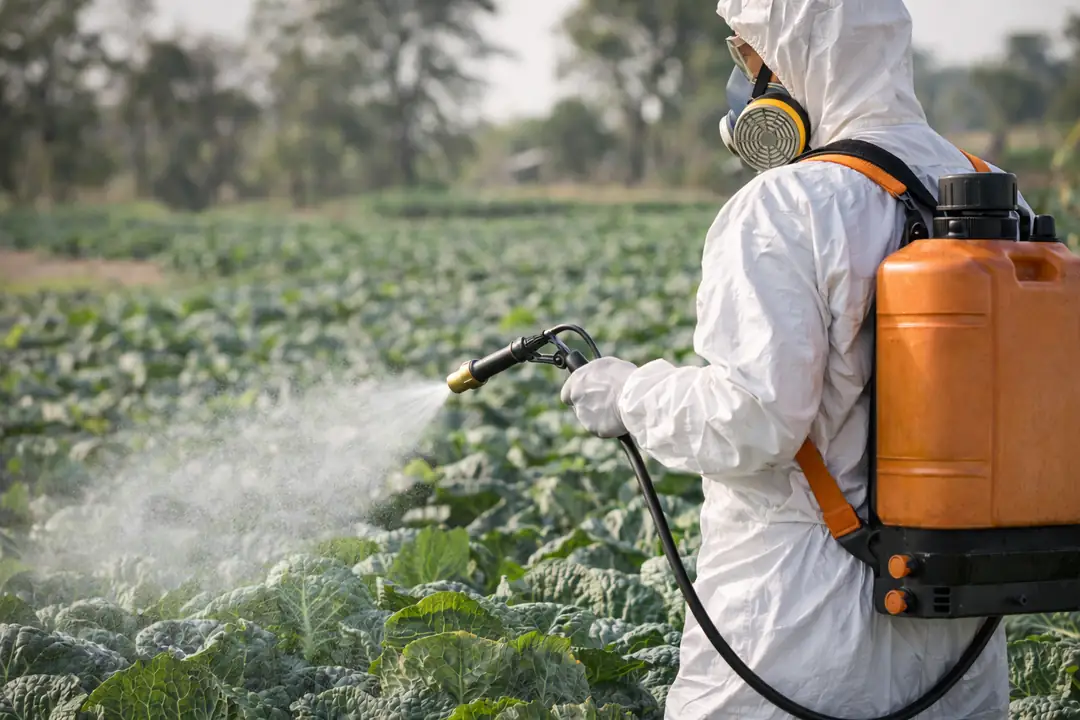 Pestisit Nedir ve Nasıl Temizlenir?