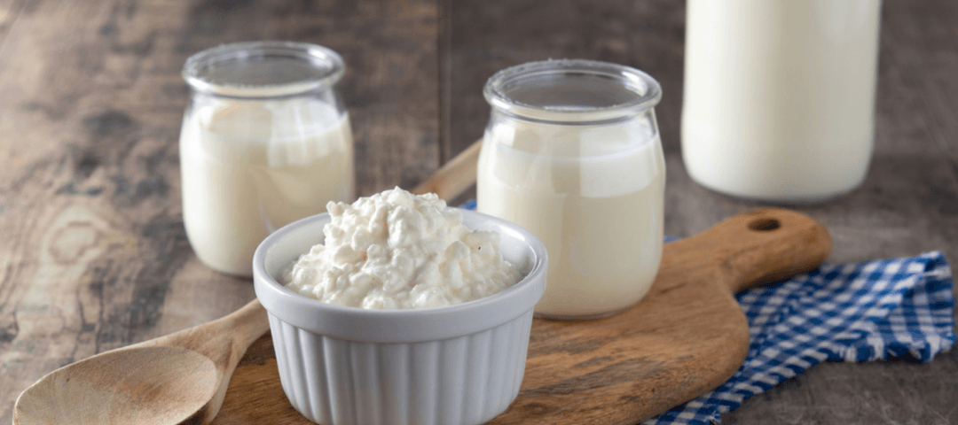 kefir mayası