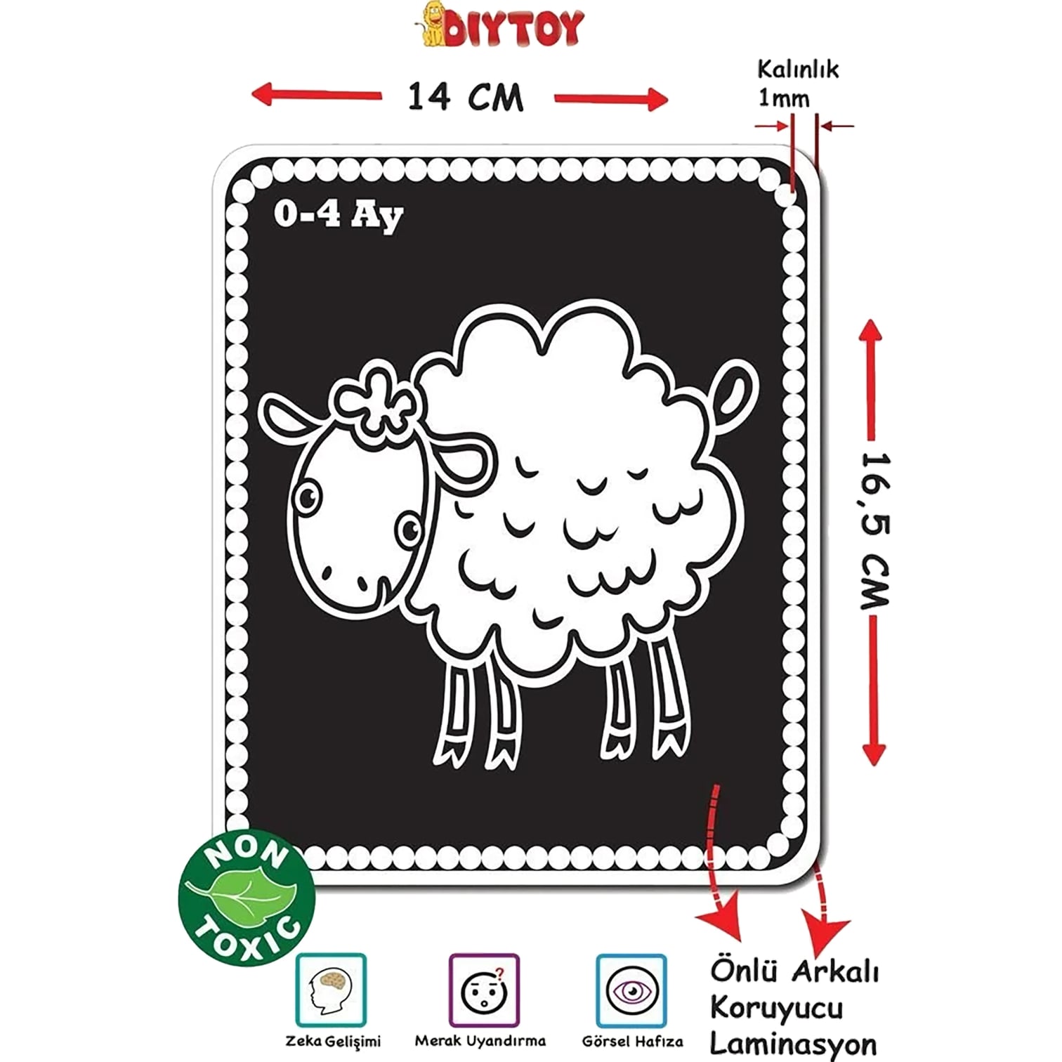 DiyToy Bebeğimin İlk Zeka Kartları 0-12 Ay 3