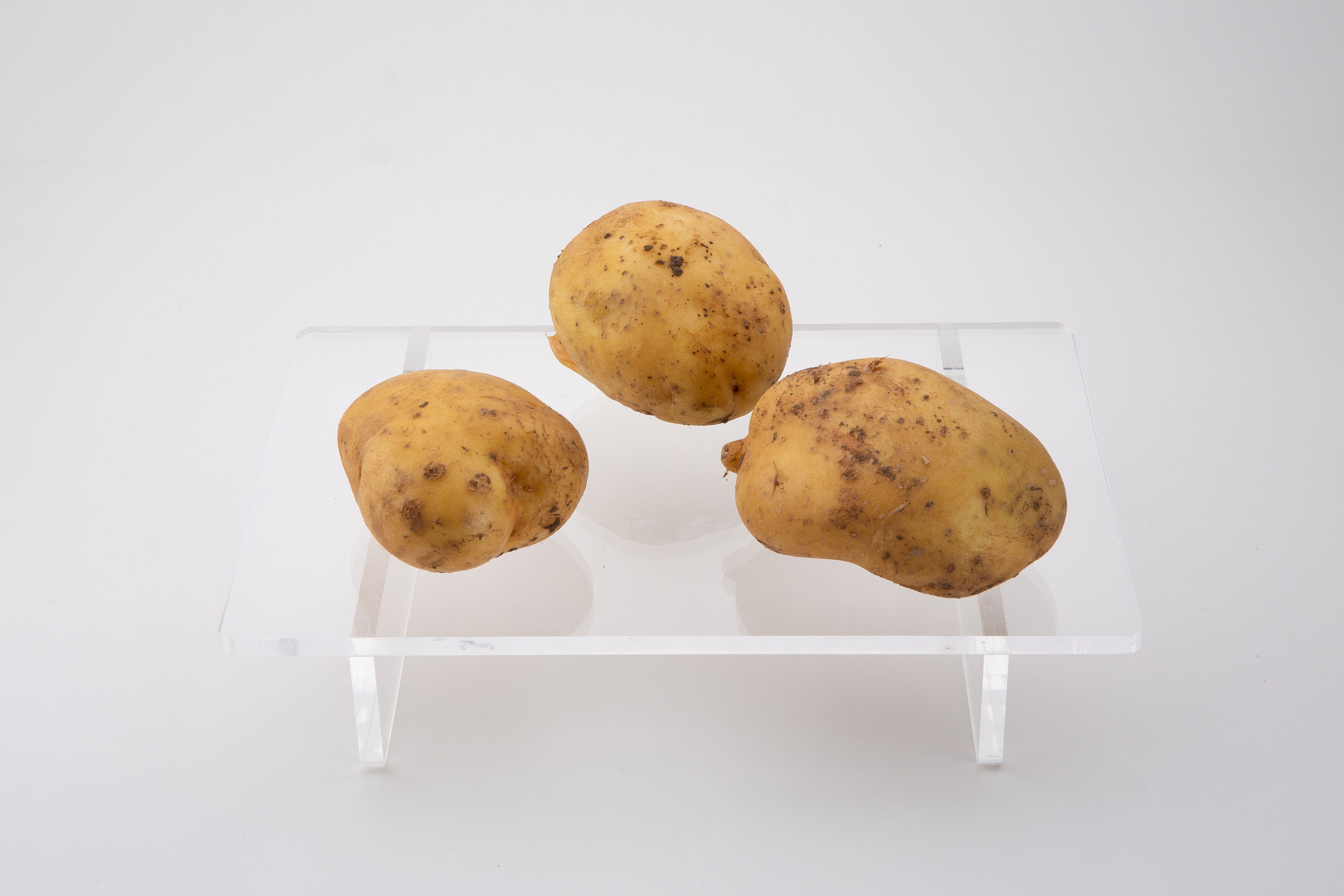 TAZE PATATES 1 kg