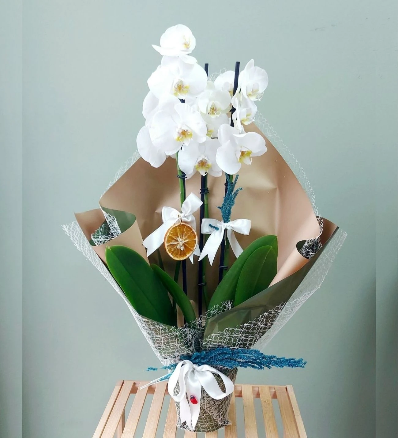 Özel Hazırlanmış Taze 3 Dal Beyaz Orkide – Zarafetin ve Saflığın Simgesi