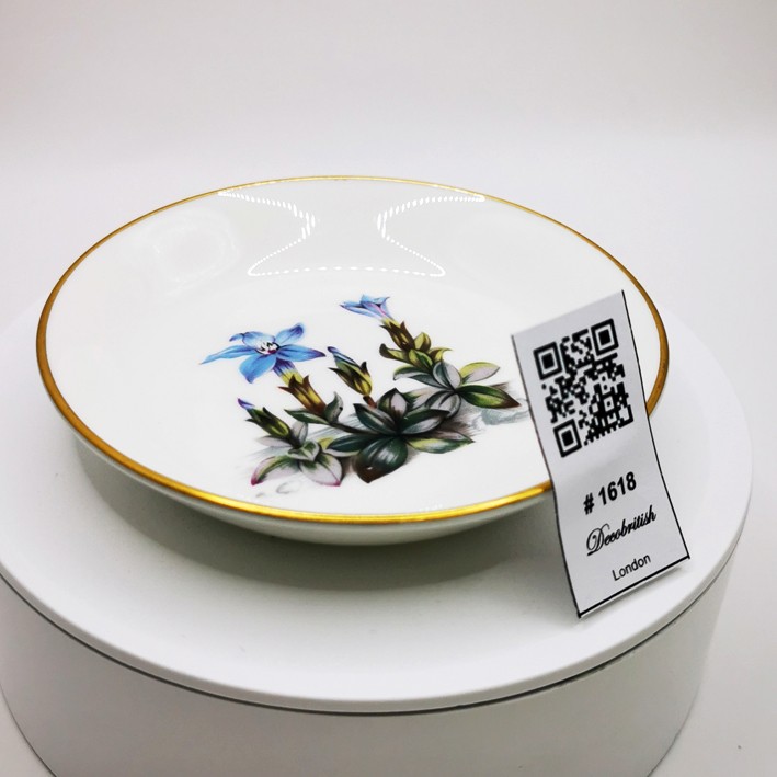Royal Worcester Elegant Collectible Nut Dish/Serving Dish – A Simple and Chic Design of English Porcelain