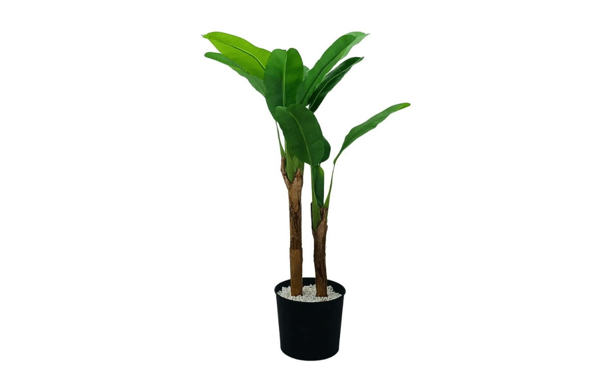 Hanzade Konsept İkili Muz Ağacı 95x170 Cm - 3264