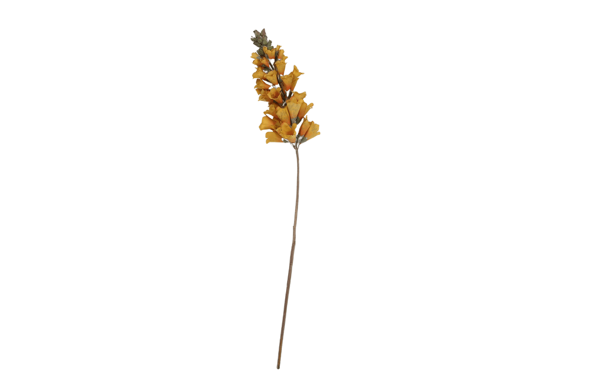 Hanzade Konsept Kahverengi Yüksükotu Yapay Çiçek 12x80x8 Cm - AK.JZ0009