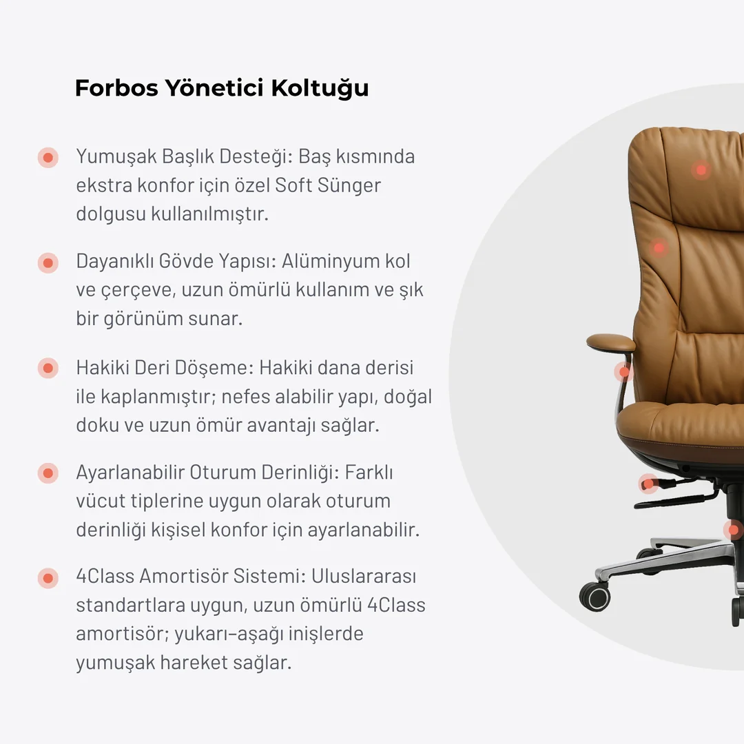 Forbos yönetici koltuğu görsel 1