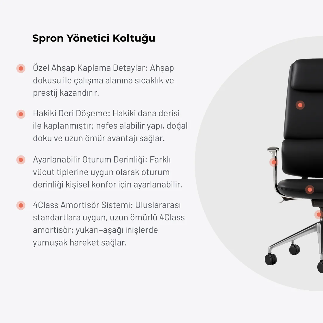 Spron yönetici koltuğu görsel 1