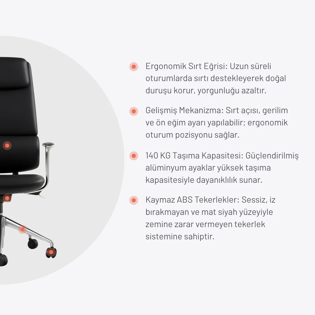 Spron yönetici koltuğu görsel 2