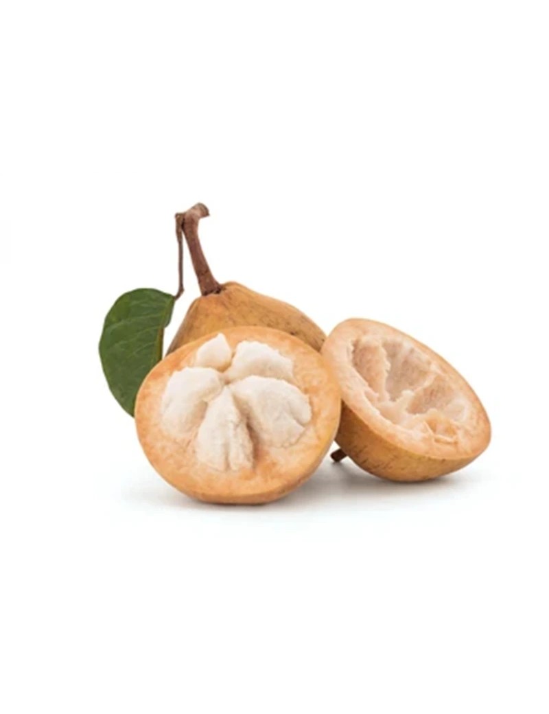 Santol