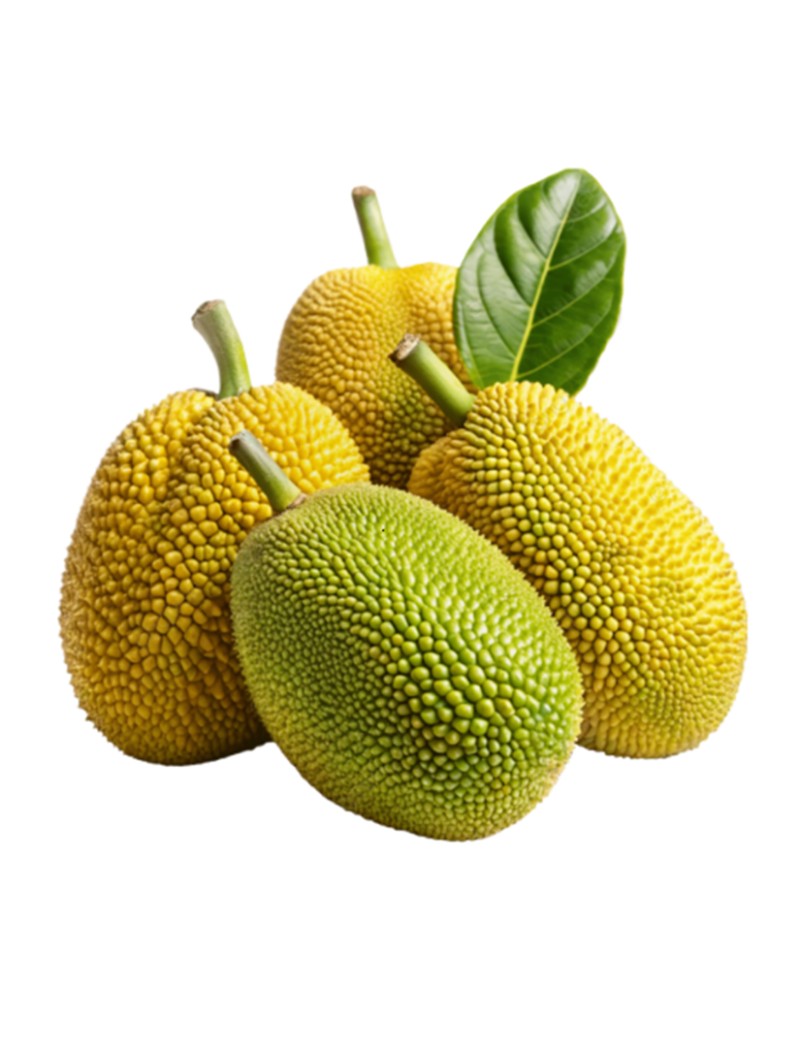 Jackfruit