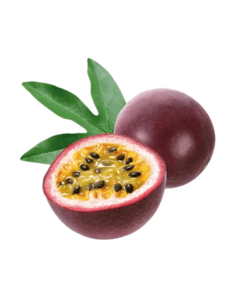 Passiflora
