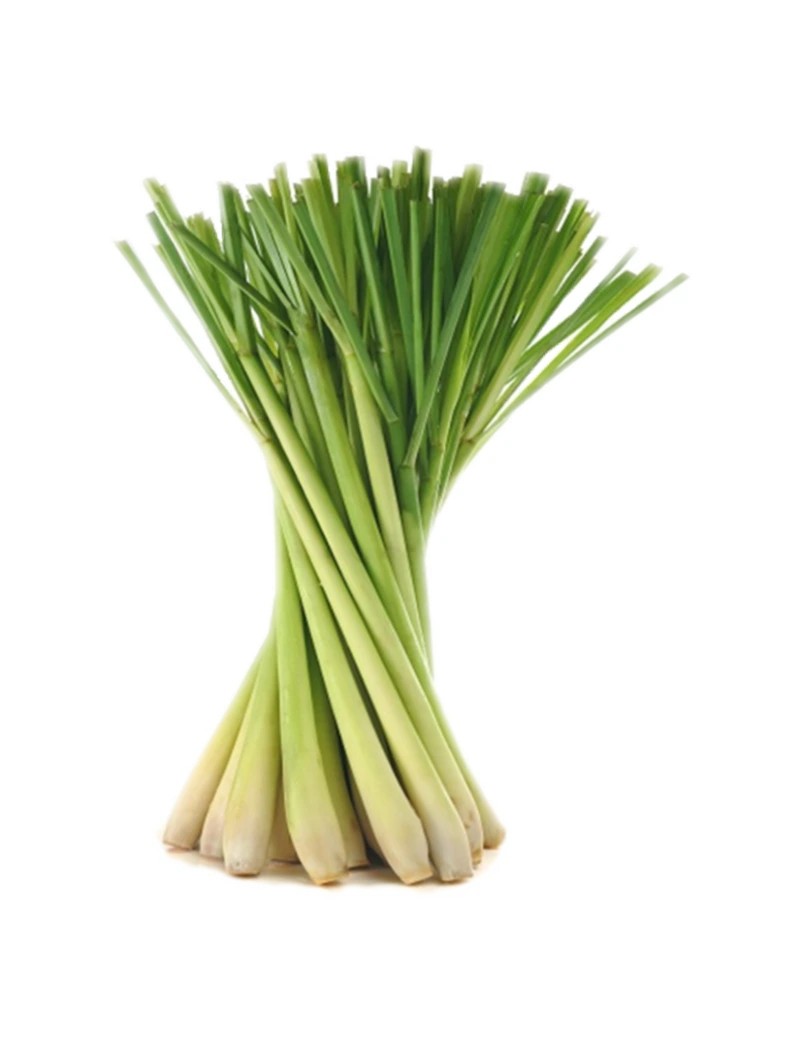Lemongrass (Limon otu)