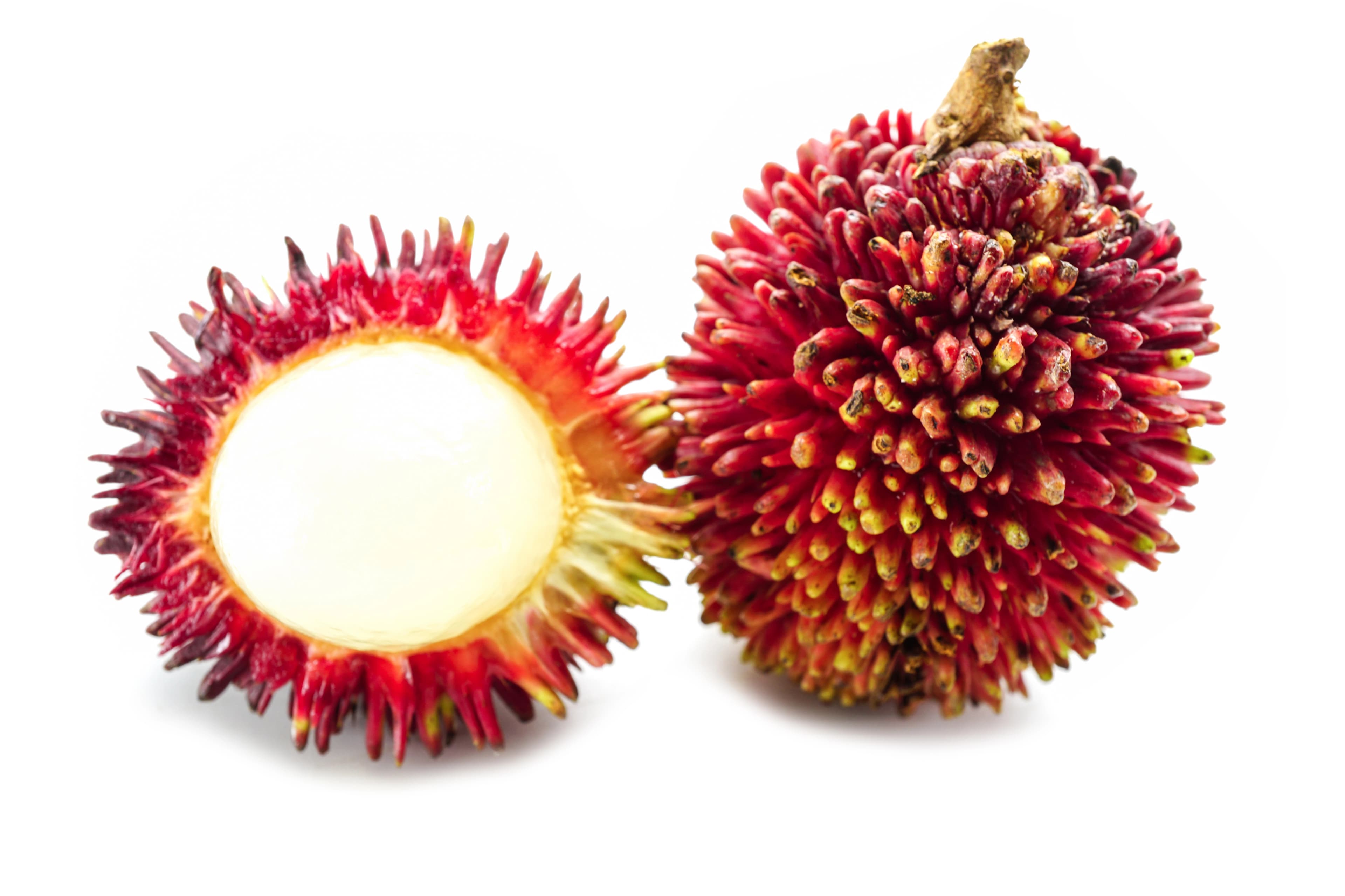 Pulasan