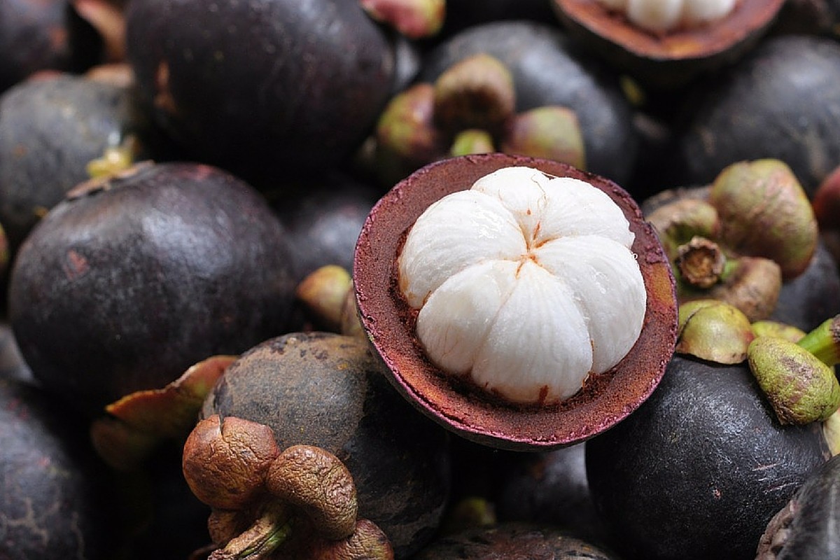 Mangosten 