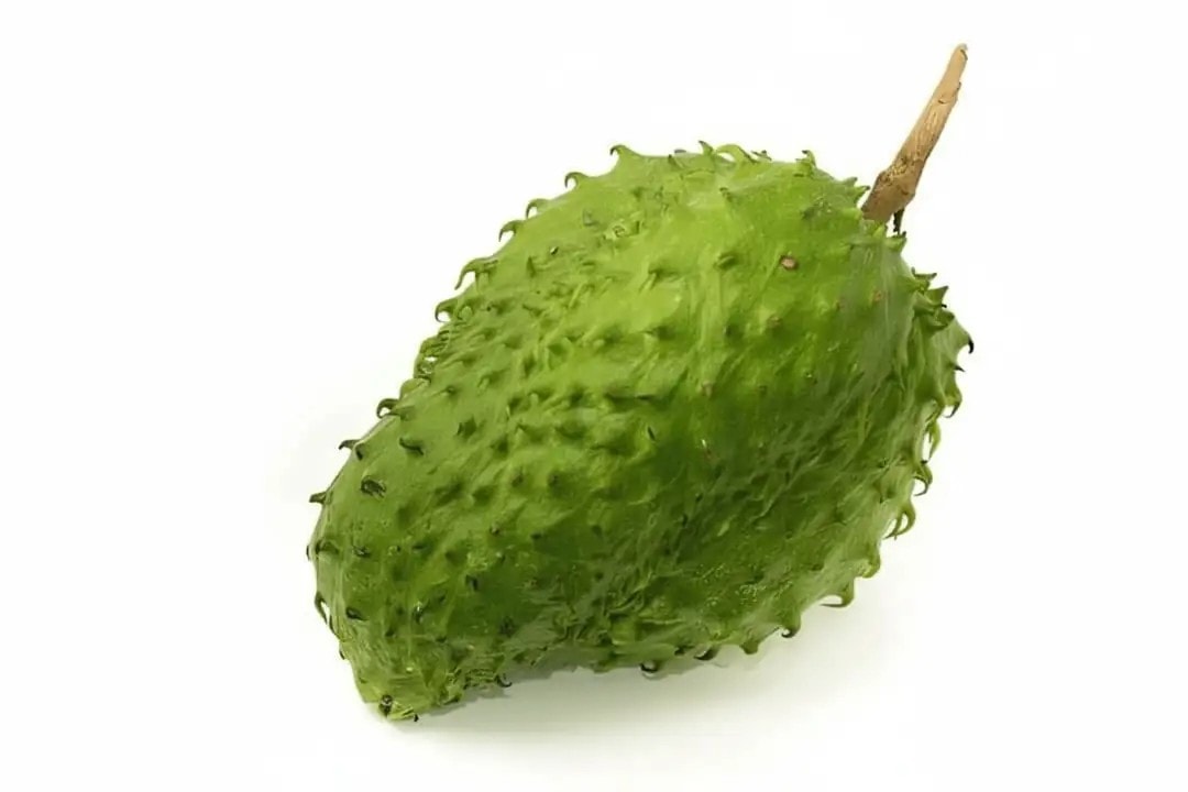 African Graviola