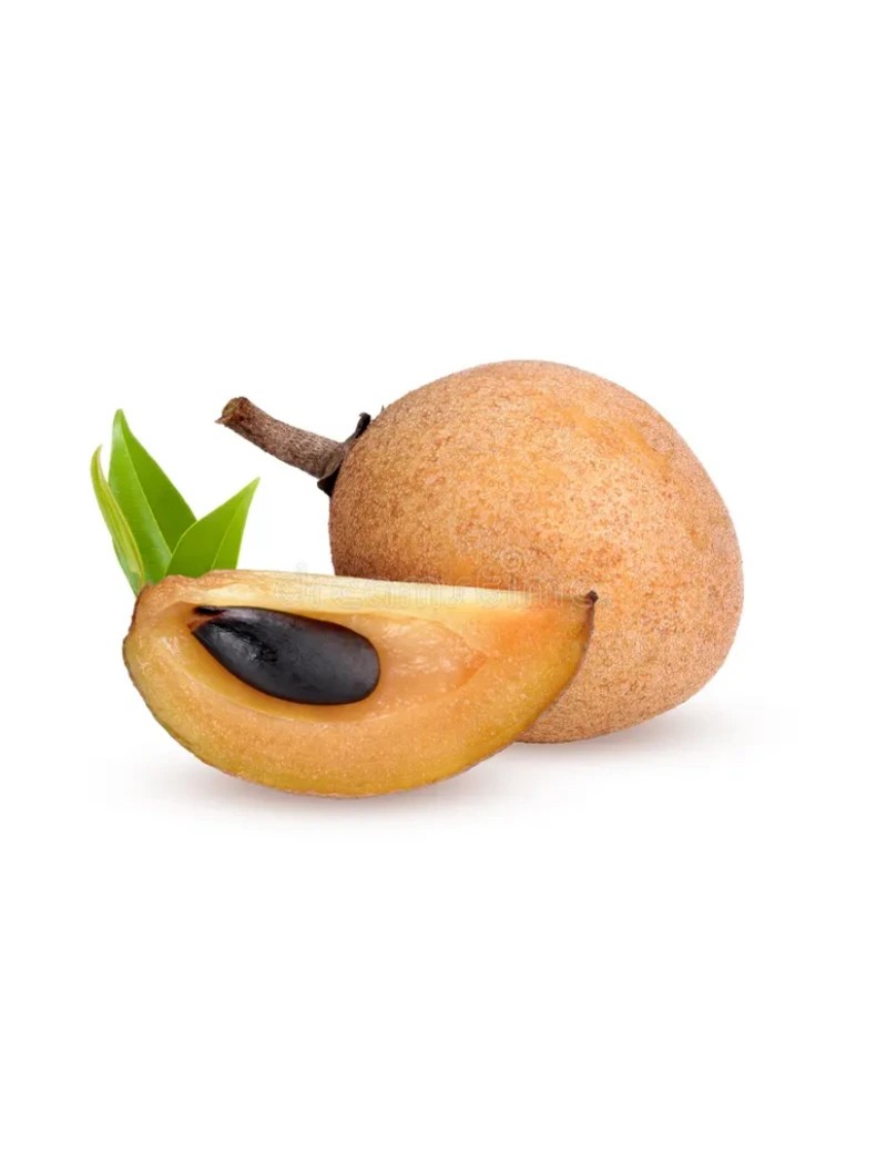 Sapodilla