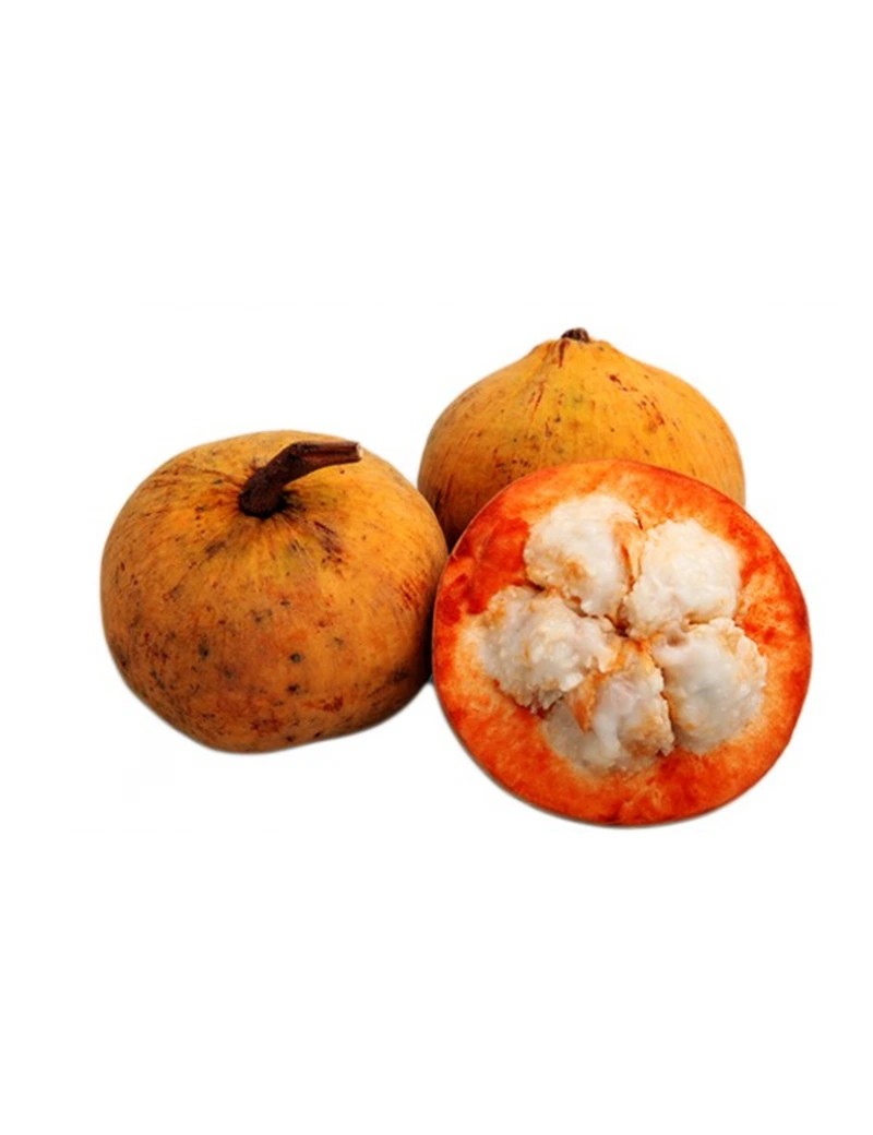 Santol