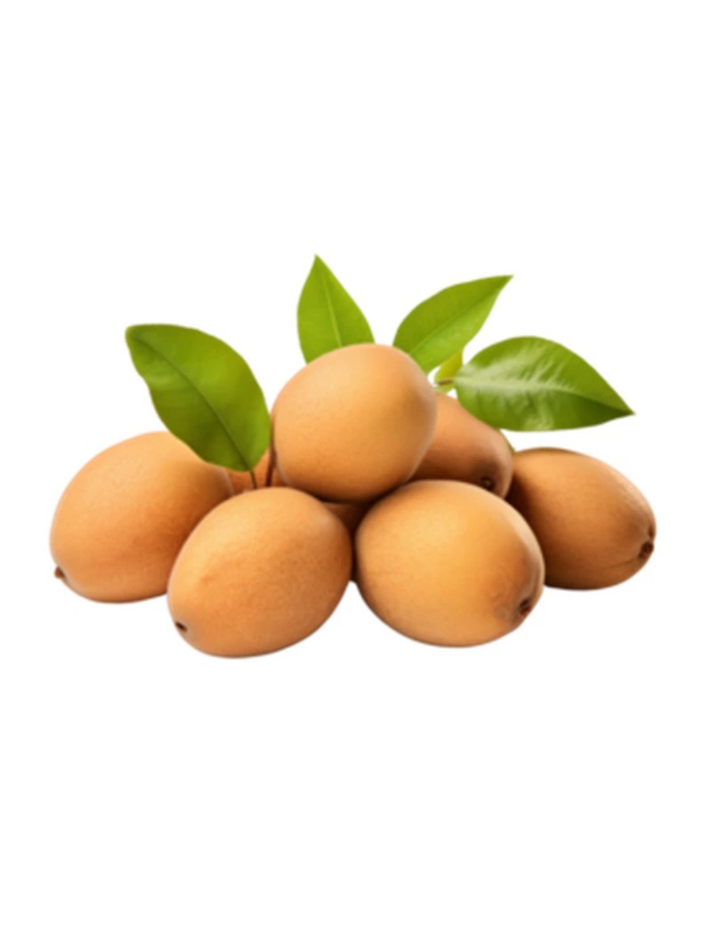 Sapodilla