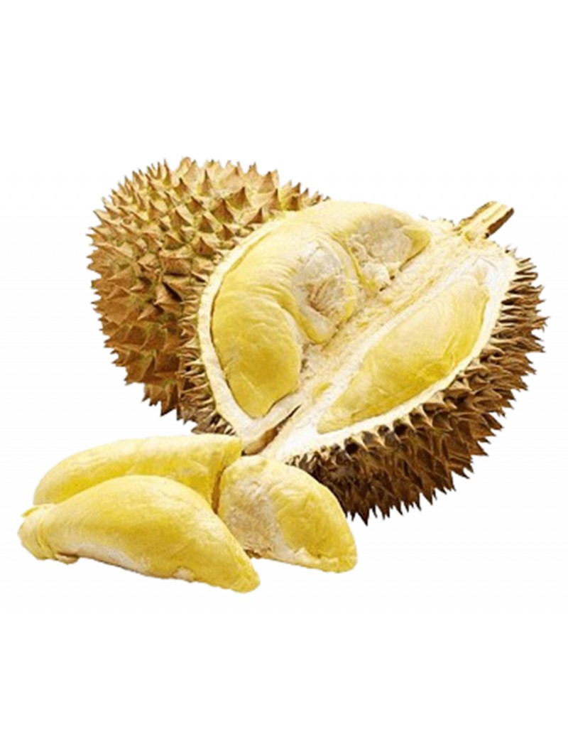 Durian Kanyao