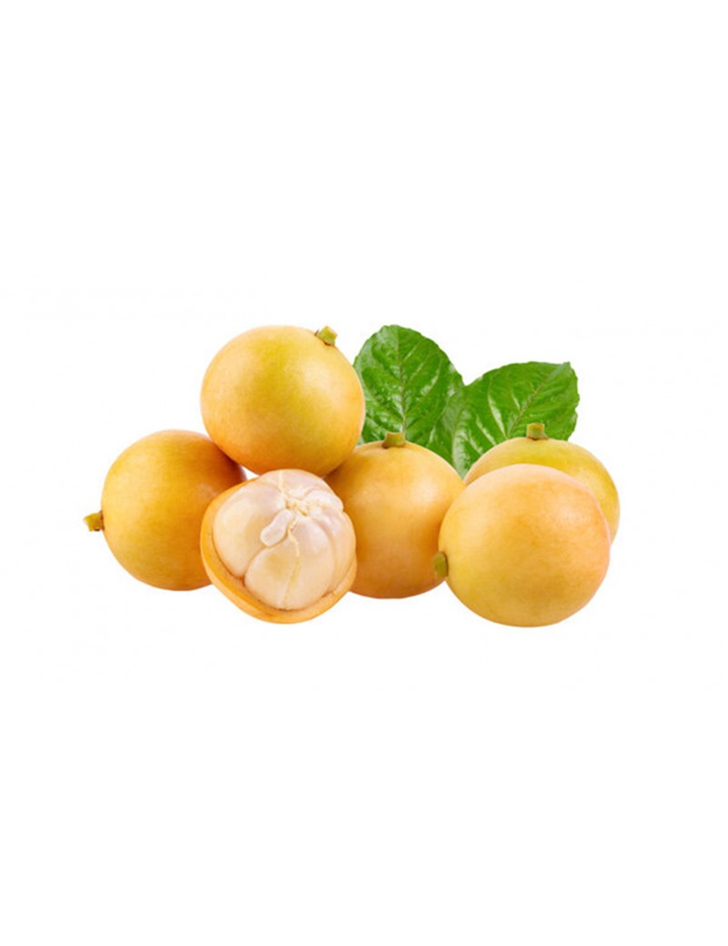 Burma Üzümü (Burmase Grape)