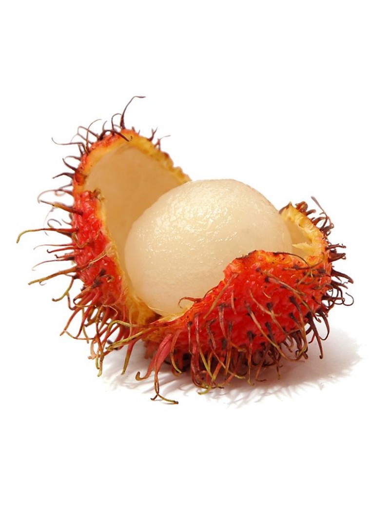Rambutan