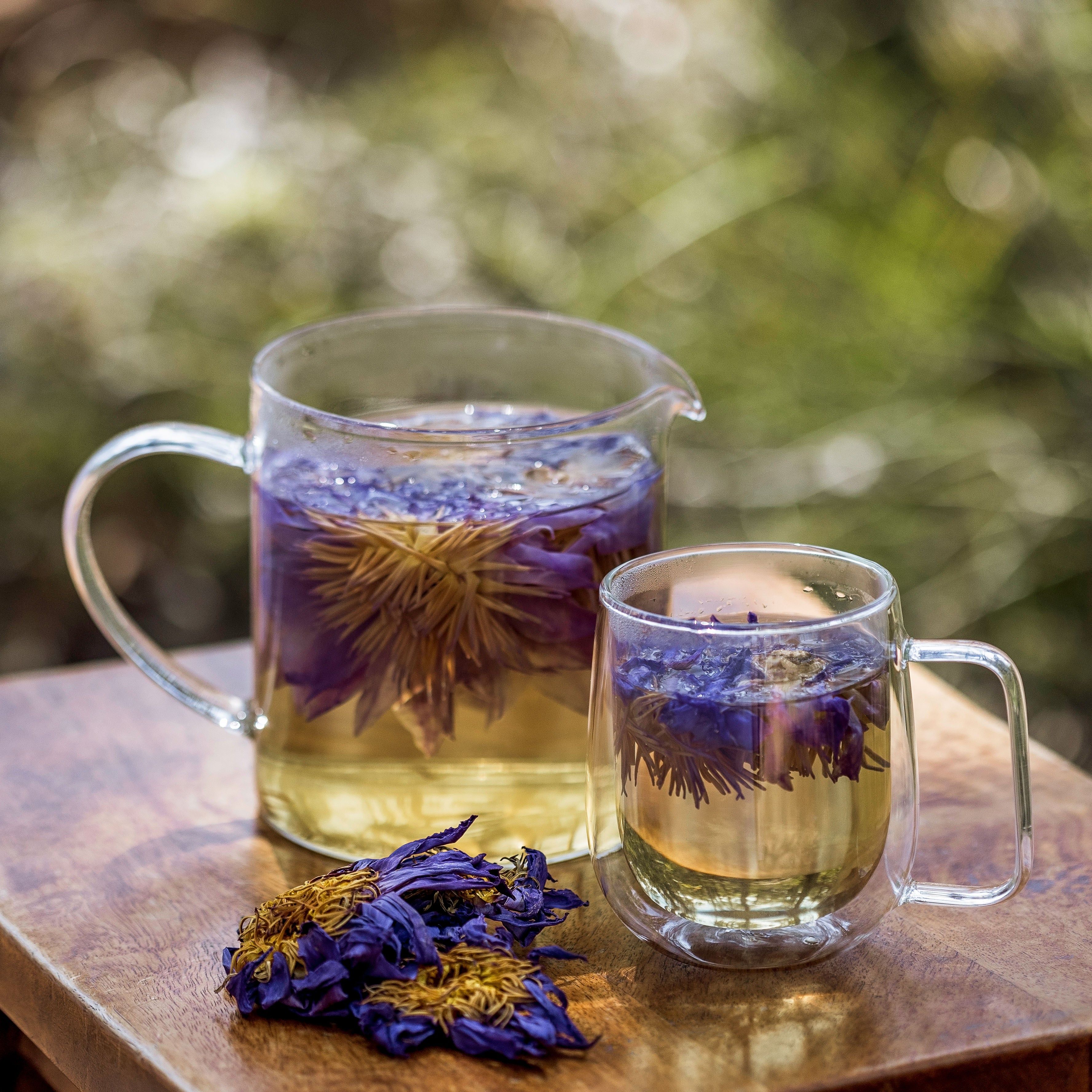 Lotus Çiçeği Özü Çayı