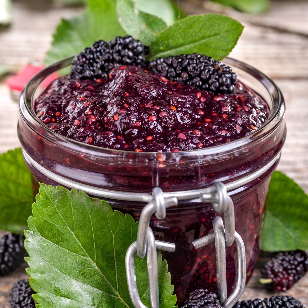 Karadut Marmelatı 460 Gr