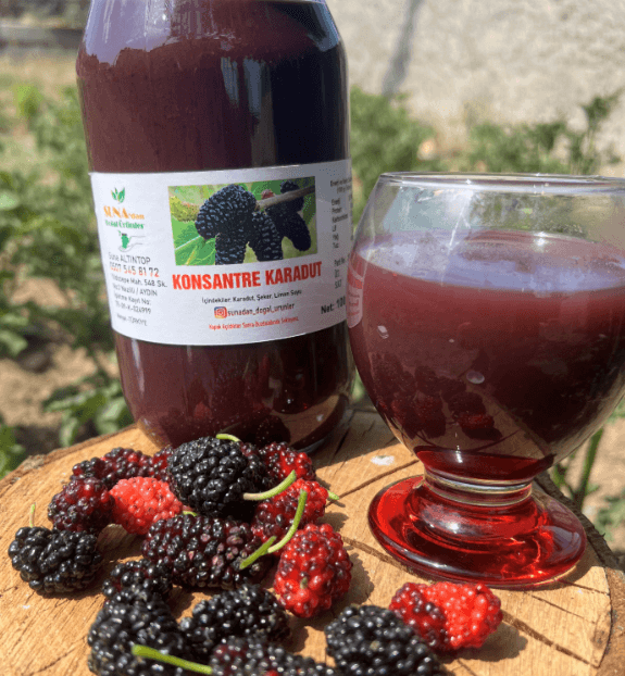 Karadut Konsantresi 1 Kg