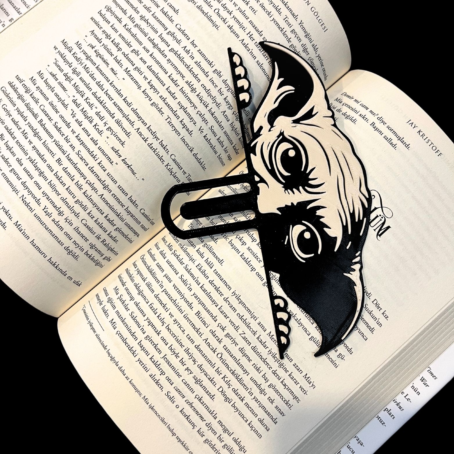 Dobby Kitap Ayracı