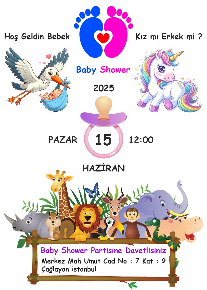 Baby Shower Dijital Davetiye