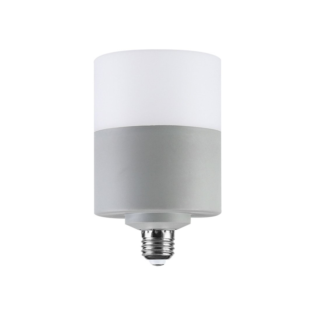 Oval T-Bulb LED Ampul E27 30W 6500K Soğuk Beyaz ZMR