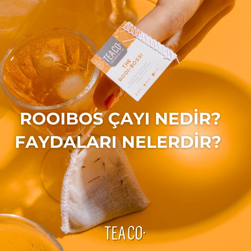 Rooibos Çayı Nedir? Faydaları Nelerdir?