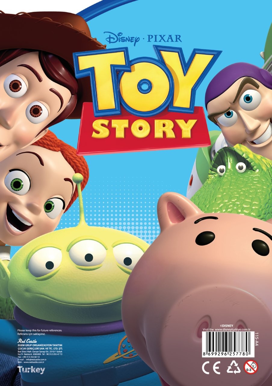 Disney Woody Kum Boyama Kartı 25 Adet-Red Castle A4-D-115